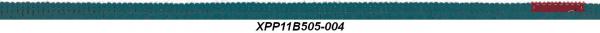 XPP11B505-004 Pompom Ribbon